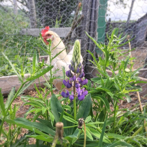 Meet your Posher, Marie - Picture 7 of 8